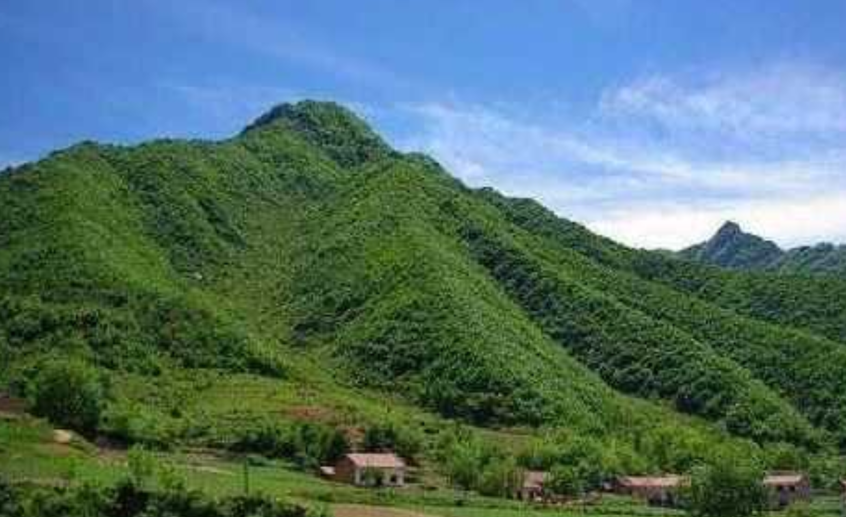 1714882884467952.png 360826871.png