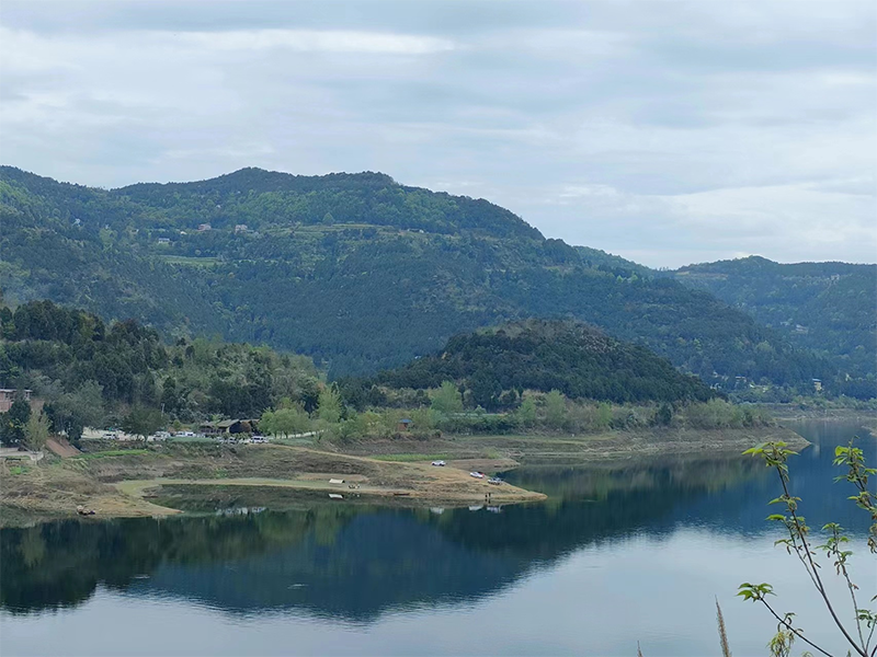 1713157914286692.png 种生基.png